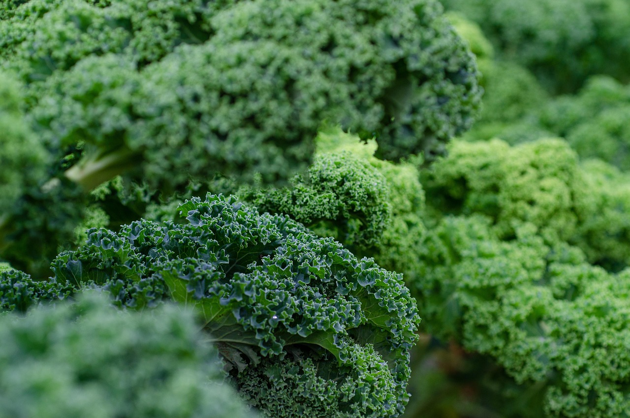 entdecken sie die welt der superfoods: erfahren sie, welche gesunden lebensmittel ihre ernährung bereichern, energie liefern und das immunsystem stärken. tipps, rezepte und nährwertinformationen auf einen blick.