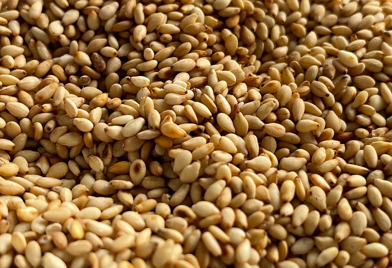 entdecken sie die welt der superfoods: erfahren sie alles über gesunde nahrungsmittel, ihre vorteile und wie sie ihre ernährung auf ein neues level heben können. tipps, rezepte und wissenswertes rund um superfoods!