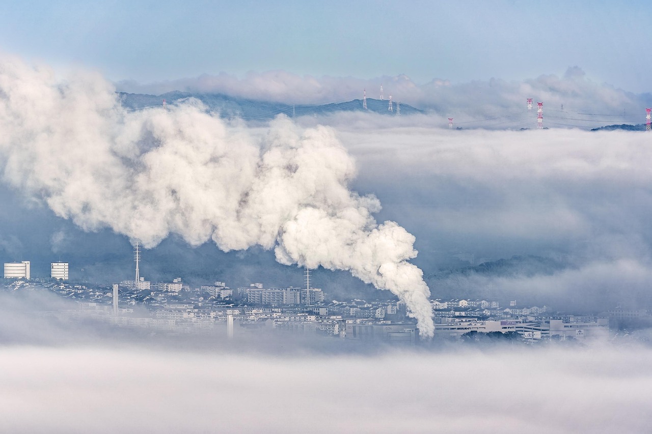 Was bedeutet der Klimawandel für die deutsche Wirtschaft?
