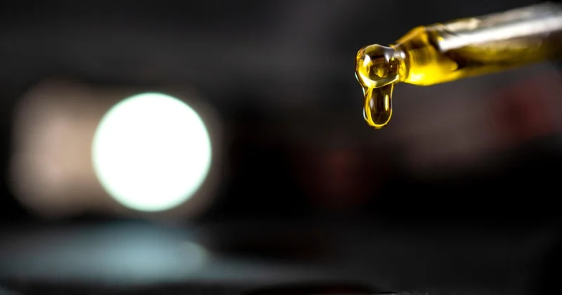 Wirkt CBD in Creme-Form überhaupt? Der wissenschaftliche Blick