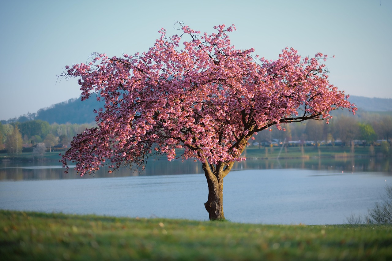 entdecken sie die faszinierende welt der farben! erfahren sie, wie farben unsere umwelt beeinflussen, unsere stimmung verändern und kreative ausdrucksformen bereichern können. tauchen sie ein in die vielfalt von farbtönen und deren bedeutung in der kunst, mode und psychologie.