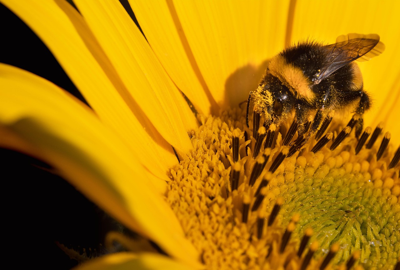 entdecken sie die faszinierende welt der farben! erfahren sie, wie farben unsere stimmung beeinflussen und welche bedeutung sie in verschiedenen kulturen haben. lassen sie sich inspirieren von kreativen farbideen für ihr zuhause und ihre modewahl!